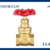 Double Lin Brass Gate Valve with Cast Iron Handle (LL4031) 1 Double Lin Brass Gate Valve with Cast Iron Handle (LL4031)