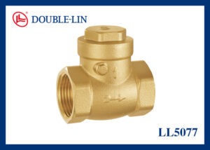 Double Lin Brass Swing Check Valve with Rubber Sealing (LL5077)