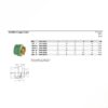 Transition Hexagon Female PP-R . Brass – SDR 6 (Green) 1 Wefatherm Transition Hexagon Female PP-R / Brass – SDR 6 (Green)