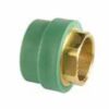 Transition Hexagon Female PP-R . Brass – SDR 6 (Green) 2 Wefatherm Transition Hexagon Female PP-R / Brass – SDR 6 (Green)