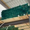 Romanian White Wood Timber – 4 Meter Length