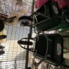 Wheel Barrow – Heavy Duty Steel Frame 3 Wheel Barrow – Heavy Duty Steel Frame