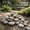 Pebble Stone – Decorative Natural Pebbles