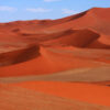 Red Sand 2 Red Sand – Premium Dune Sand for Construction & Landscaping